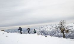 Tunceli'nin Zel Dağı, Doğa Tutkunlarını Ağırlıyor