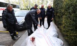 Otobüsle gönderilen bir buçuk ton ciğere el kondu