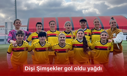 Dişi Şimşekler gol oldu yağdı