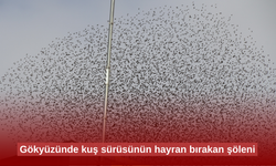 Gökyüzünde kuş sürüsünün hayran bırakan şöleni