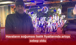 Havaların soğuması balık fiyatlarında artışa sebep oldu