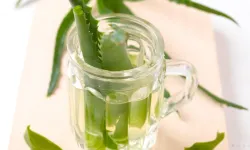 Aloe Vera Suyu: Sağlığınız İçin Bir Doğal Mucize