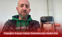 Köpeğini bulana 50 bin TL vereceğini duyuran adamın peşini dolandırıcılar bırakmıyor