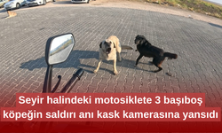 Seyir halindeki motosiklete 3 başıboş köpeğin saldırı anı kask kamerasına yansıdı