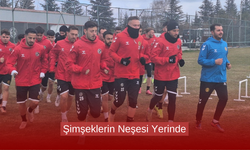 Şimşeklerin Neşesi Yerinde