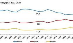 Türkiye'nin %49,6'sı mutlu
