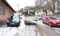 Yollarda tuzlama çalışması yapılıyor