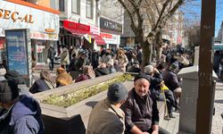 Güneş Açtı, Hamamyolu Şenlendi