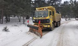 Büyükşehir ekiplerinden karla mücadele