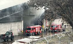 Eskişehir’de çimento fabrikasında yangın