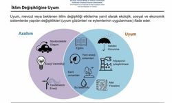 Büyükşehir Belediyesi İklim Eylem Planı Hazırlıyor