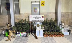 Jandarmadan Yasaklı Madde Operasyonu