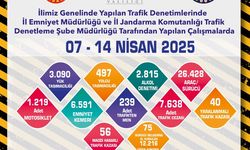 Eskişehir'de denetimlerin bilançosu:239 trafikten men