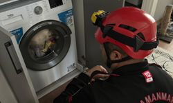 Kedi çamaşır makinesinde mahsur kaldı