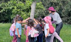Çocuklar, ormanda keşif ve masal yolculuğunda buluşuyor