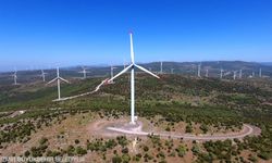 İzmir’in doğal yaşamını güvence altına alacak