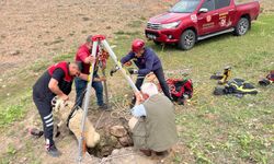 İtfaiye ekipleri kuyuya düşen koyunu kurtardı