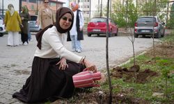 Kadın öğretmenler doğaya nefes oldu