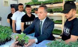 TOGÜ 1 Milyon Fideyi Üreticiyle Buluşturacak