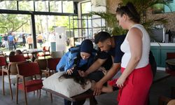 Konyaaltı sahilinde kıyı işgali denetimi gerginliğe dönüştü, bazı çalışanlar fenalaştı