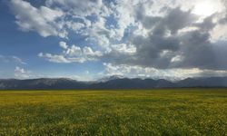 Yüksekova’da iki mevsim arası renk cümbüşü