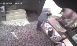 Kuruyemişçiden 3 Kutu Dondurma Çaldı!