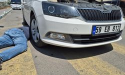 Kedi sesiyle kedi kurtarma operasyonu