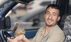 Eliyle beslediği sincap, peşini bırakmadı