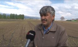 Hava şartları sebze meyve fiyatlarını olumsuz etkiledi