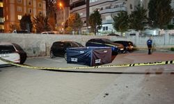 Genç kadını katledip intihar etti