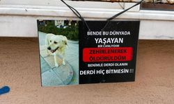 Zehirlendiği iddia edilen köpeğin fotoğrafıyla asılan not göze çarptı