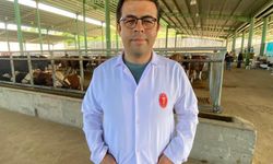 Veteriner Hekimden Kurbanlık Seçimi Uyarısı