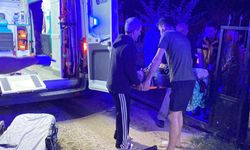 Aile içi kavgada seken kurşunla ablasını vurdu