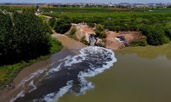 Ceyhan Nehri kirlilikten köpürdü