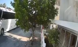 Otobüs şoförü köpeği ezdi