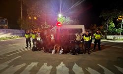 Düzensiz göçmenler otoyolda yakalandı