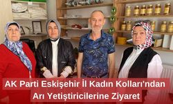 AK Parti Eskişehir İl Kadın Kolları'ndan Arı Yetiştiricilerine Ziyaret
