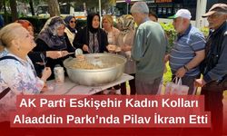 AK Parti Eskişehir Kadın Kolları Alaaddin Parkı’nda Pilav İkram Etti