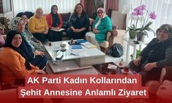 AK Parti Kadın Kolları’ndan 71 Evler'de İstişare Toplantısı