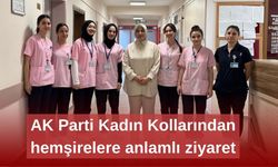 AK Parti Kadın Kollarından hemşirelere anlamlı ziyaret