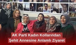 AK Parti Kadın Kollarından Şehit Annesine Anlamlı Ziyaret