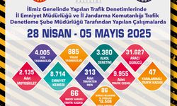 313 araç trafikten men edildi