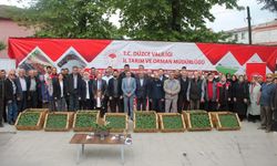 Atıl tarım arazilerinde sebze yetişecek