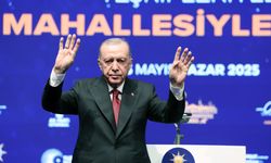 Cumhurbaşkanı Erdoğan:"Ahtapotun kolları bir bir deşifre oluyor"