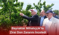 Bayraktar Mihalıççık’ta Zirai Don Zararını İnceledi