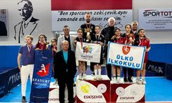 Okul Sporları Masa Tenisi Minikler İl Birinciliği Müsabakaları Tamamlandı