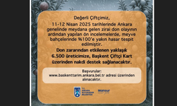 Ankara Büyükşehir Belediyesi’nden Zirai Don Mağduru Üreticilere Destek