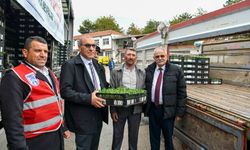 Büyükşehir'den sebze fidesi desteği