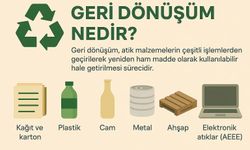 Geri Dönüşüm: Geleceğimiz İçin Atılması Gereken En Kritik Adım