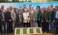 Bilecik Belediyesi'nin Çiftçilere Fide Desteği Devam Ediyor Son Üç Yılda 1 Milyon 700 Bin Fide Dağıtıldı